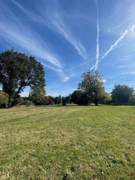 Meadow at Harefield Hospital