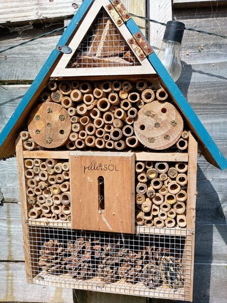 Amy's Bee Hotel - house shaped