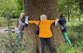 Carers in Hertfordshire tree hugging with three people featured hugging a thick tree trunk in a park
