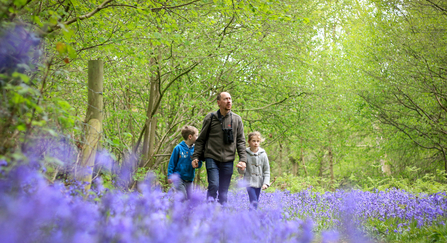 Family in bluebell woods