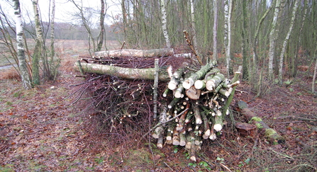 Log pile