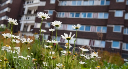 Community Garden