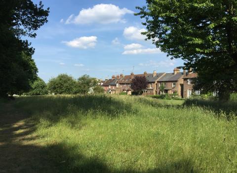 Harpenden Common