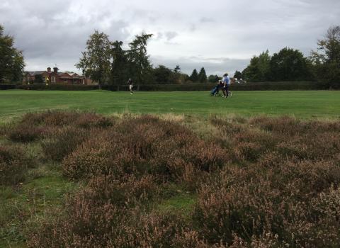 Mid-Herts Golf Club