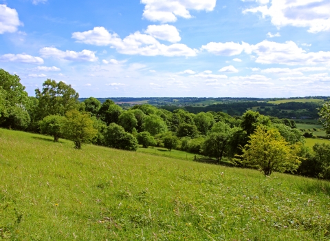 Aldbury Nowers