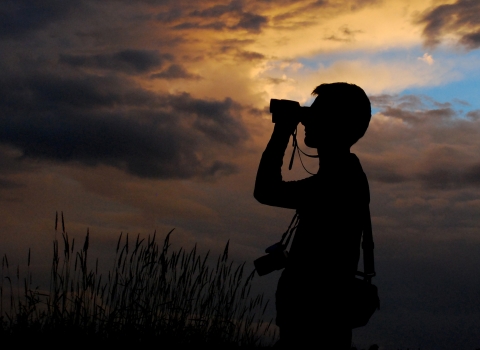 Binoculars at sunset (c) Zsuzsanna Bird