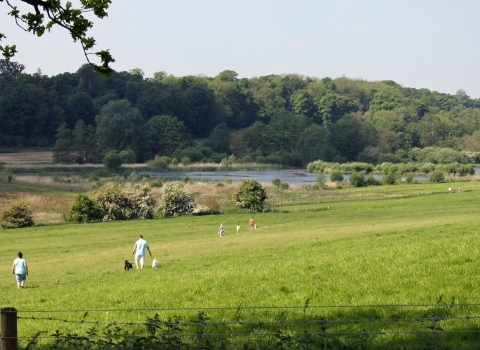 Panshanger Park Landscape