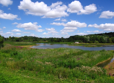 Amwell Nature Reserve