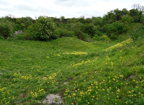 Ashwell Quarry and Quarry Springs