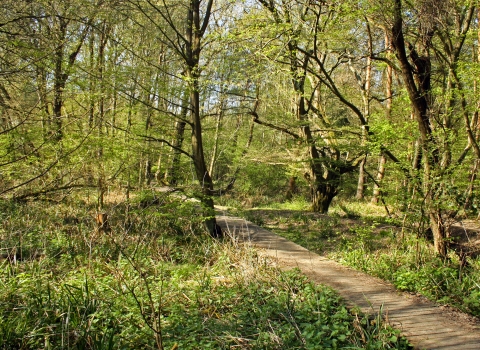 Danemead Nature Reserve 