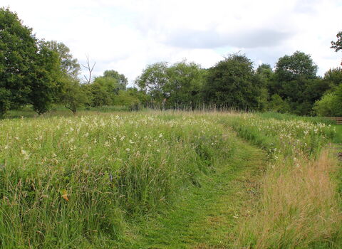 Purwell Ninesprings