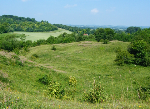 Hexton Chalk Pit Nature Reserve