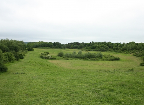 Waterford Heath Nature Reserve