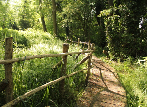 Willowmead Nature Reserve 