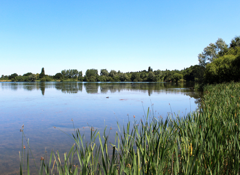 Hilfield Park Reservoir