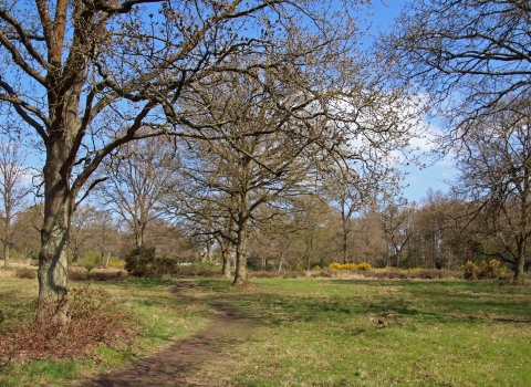 Hertford Heath