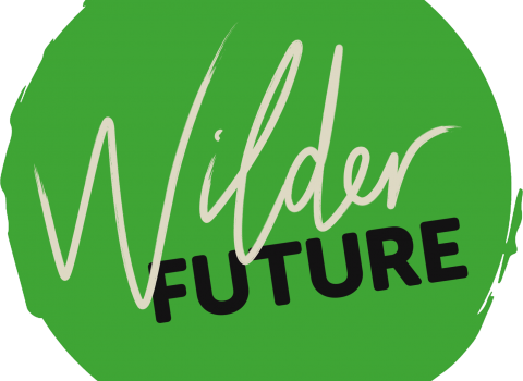 Wilder Future spot