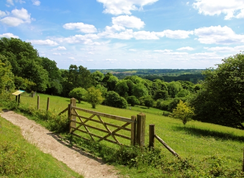 Aldbury Nowers