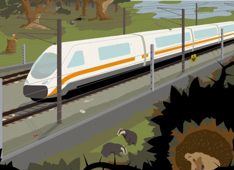 HS2 illustration