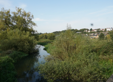 Beane Marsh and River Beane