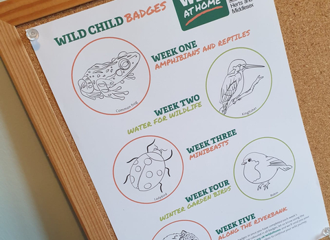 Wild At Home - Wild Child badges