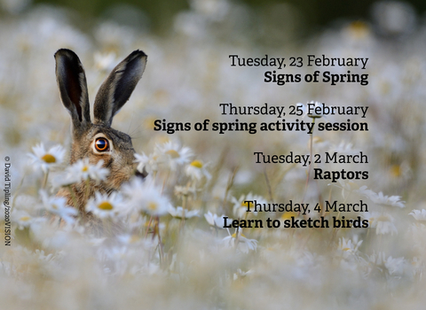 Wild at Home spring term events listing
