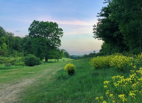 Long Deans Nature Reserve