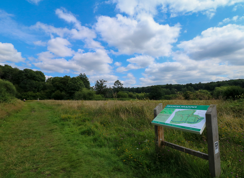 Frogmore Meadows