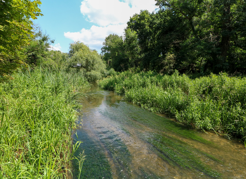 Cassiobury Park Nature Reserve