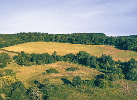 Frogmore Meadows