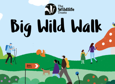 Big Wild Walk. Logo overlaid on cartoon image of people walking in nature.