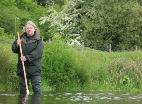 River fly volunteer standing in river