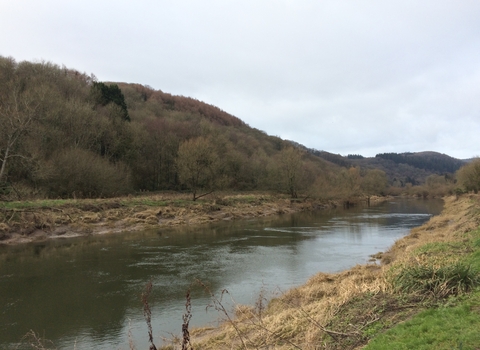 A river in Wales, with a wooded hill on the far bank