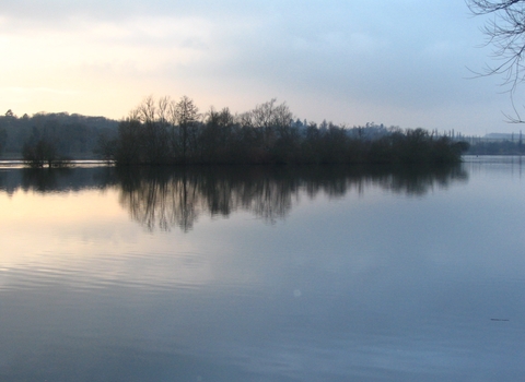 Winter scene - small island of trees in open water