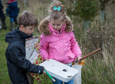 Children looking at aquatic invertebrates in a white plastic tray full of water