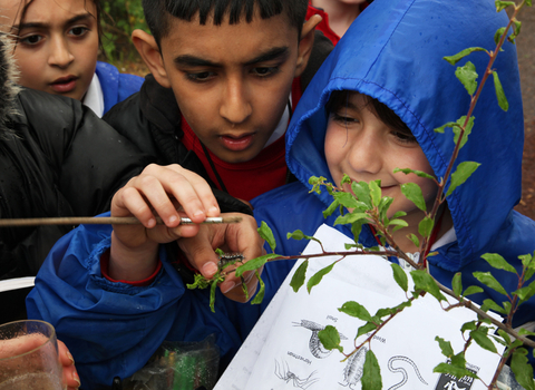 Young people gather round in a wood to look at an insect
