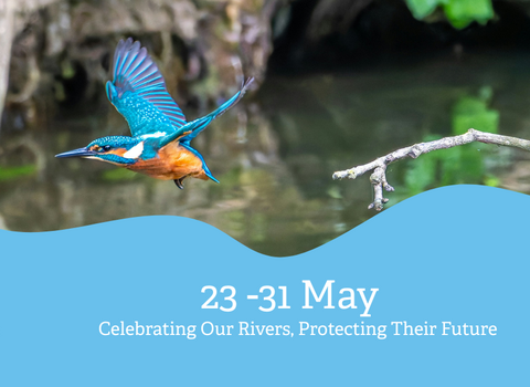 Banner with a photo of a Kingfisher flying along a river. Text in wavy blue box reads "23-31 May, Celebrating our Rivers, Protecting their Future"
