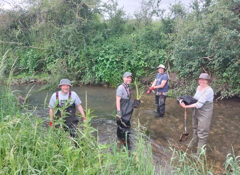 Volunteers planting on the River Ash