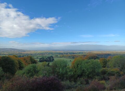 A view from the top of Aldbiry Nowers reseves over treetops to hills in the far distance against a bright blue sky.