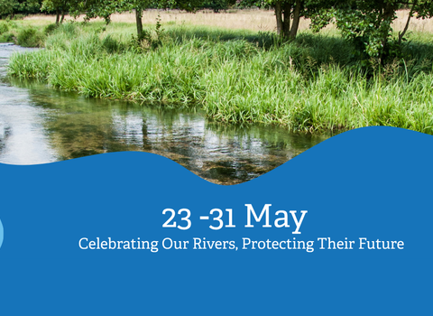 A photo of the river Mimram - a clear chalk stream with lush green banks. On the bottom half is a blue wave block of colour, inside it is written "23-31 May Celebrating our rivers, protecting their future"