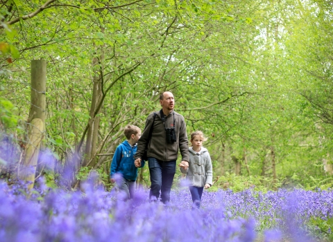 Family in bluebell woods